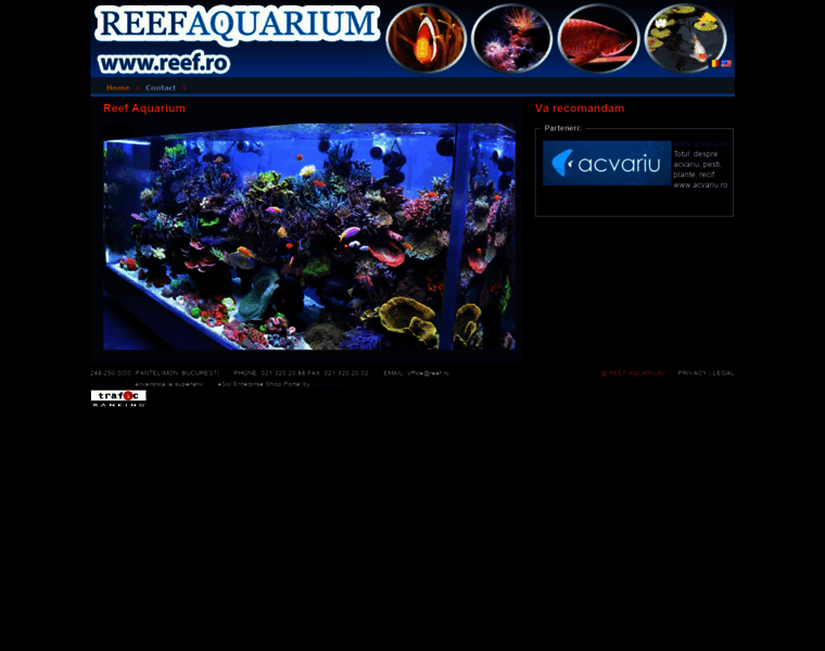 Reef.ro thumbnail