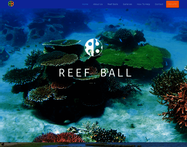 Reefball.com thumbnail