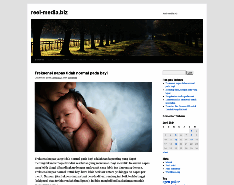 Reel-media.biz thumbnail