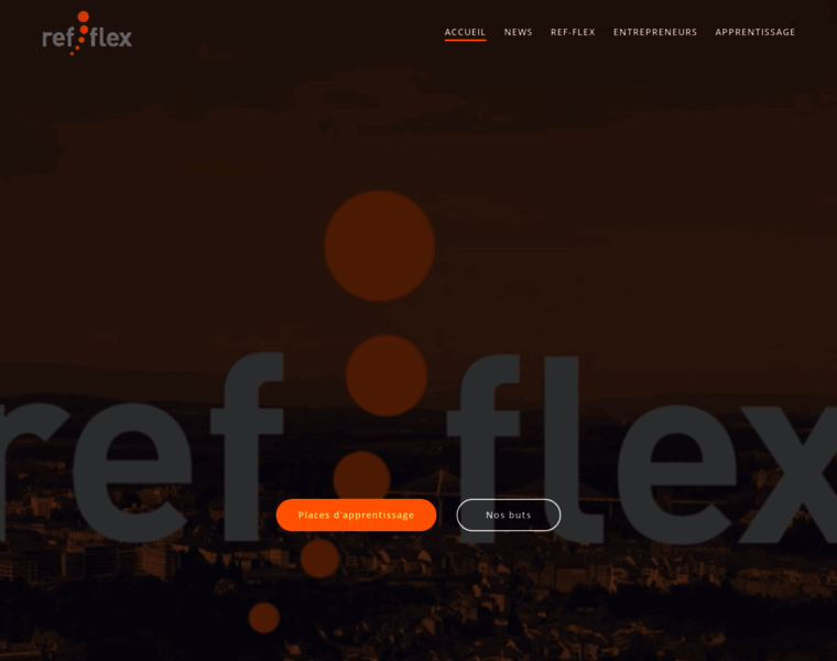 Ref-flex.ch thumbnail