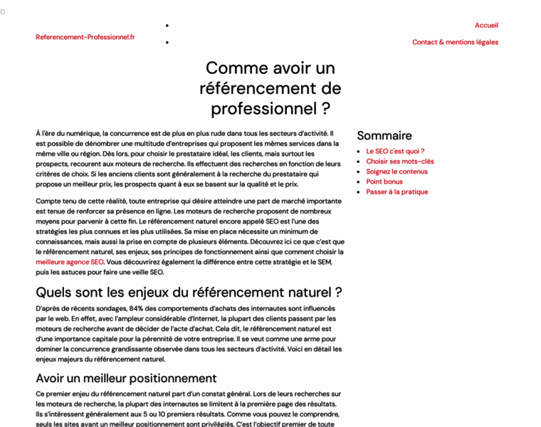 Referencement-professionnel.fr thumbnail
