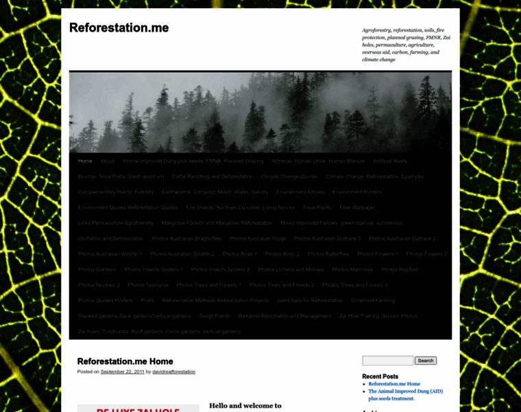 Reforestation.me thumbnail