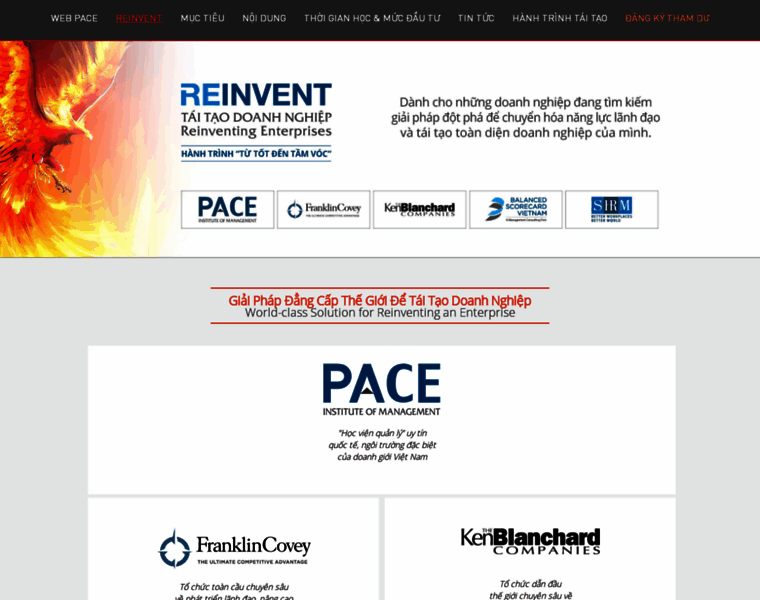 Reinvent.pace.edu.vn thumbnail