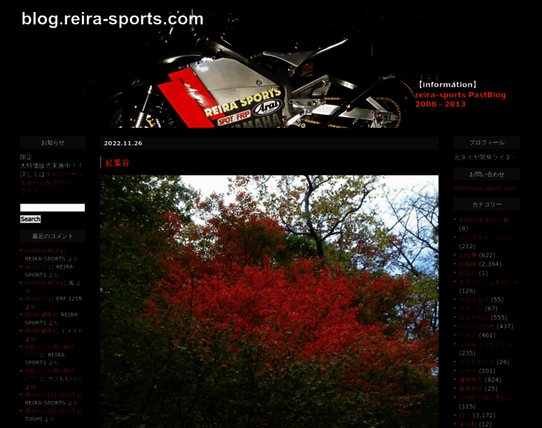 Reira-sports.com thumbnail