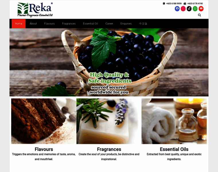Reka-n.com thumbnail