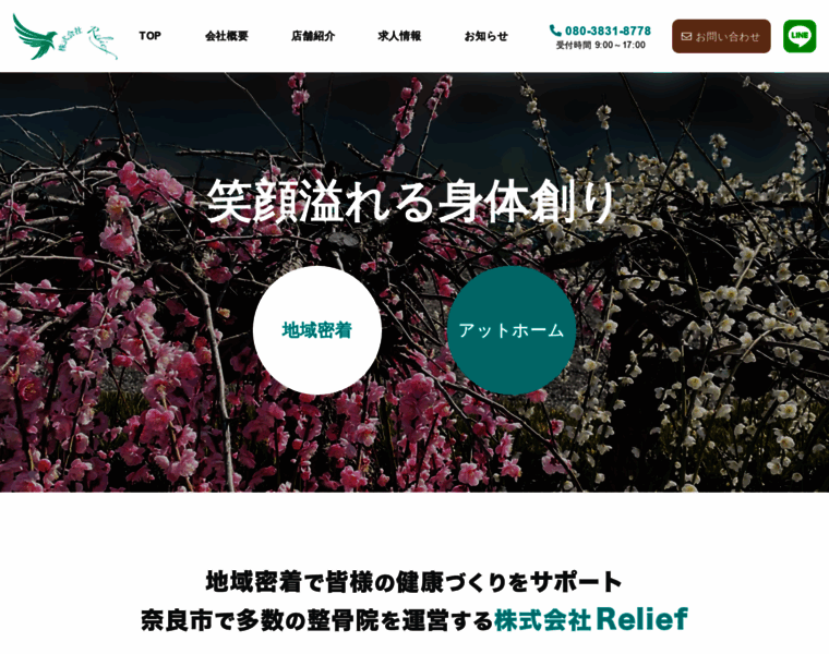 Relief-seikotsuin.jp thumbnail