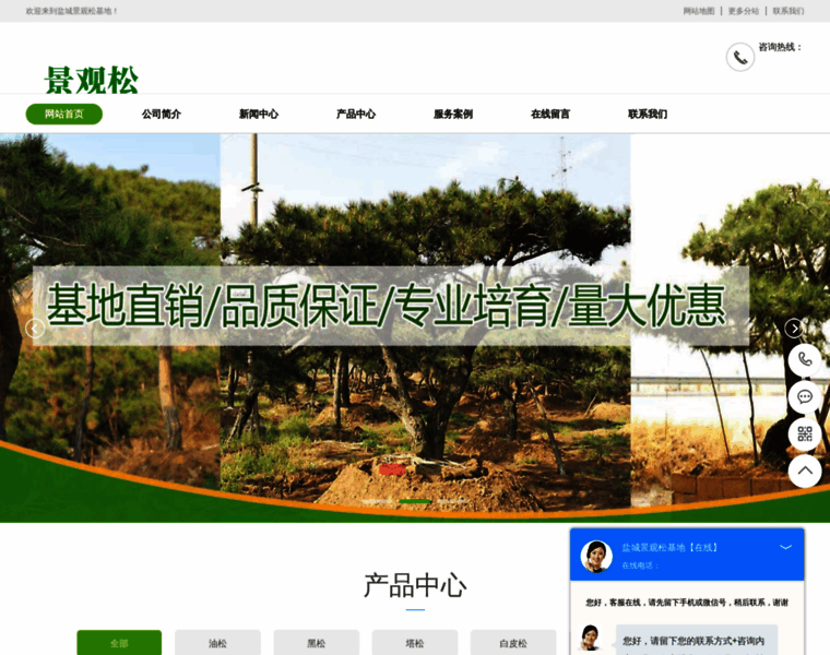 Remai-wang.com thumbnail