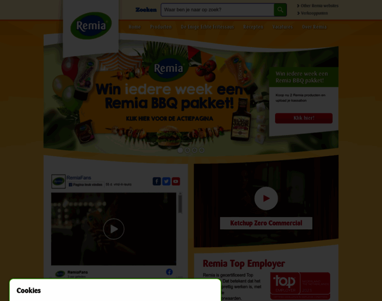 Remia.nl thumbnail