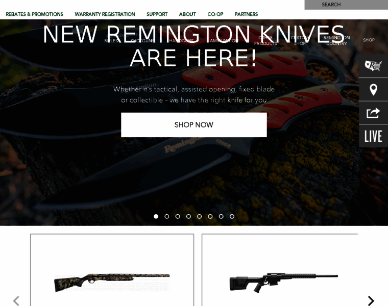 Remington1816.com thumbnail
