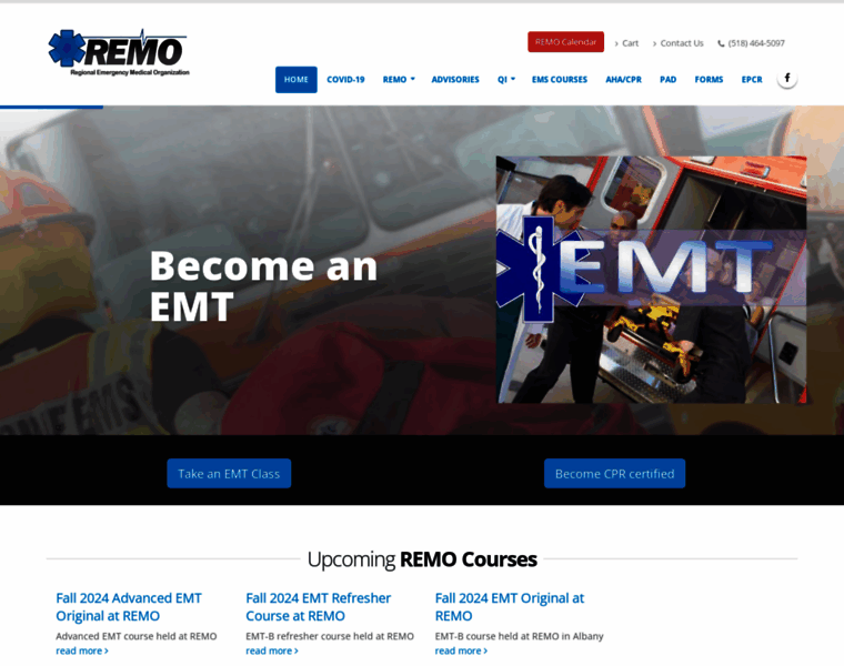 Remo-ems.com thumbnail