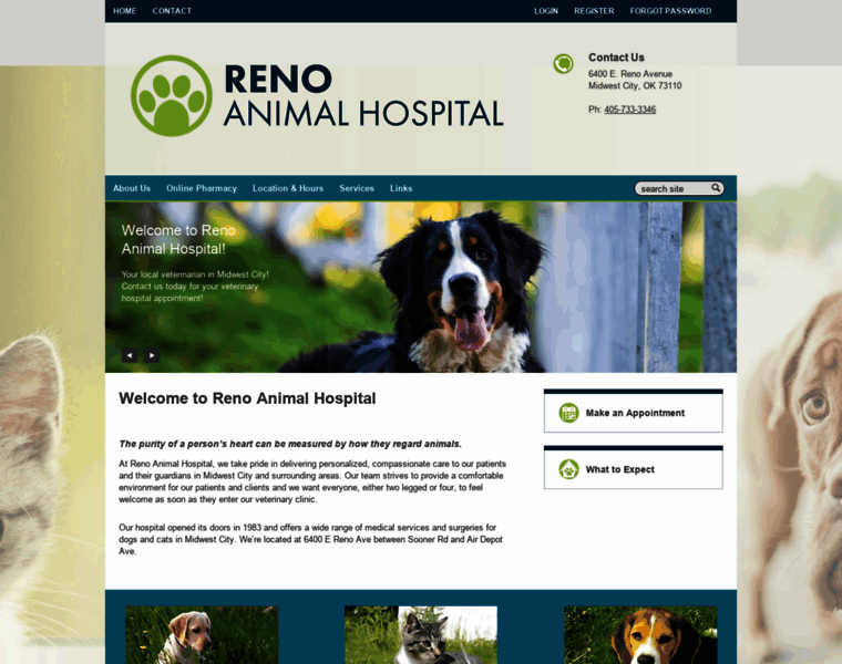 Renoanimalhospital.net thumbnail