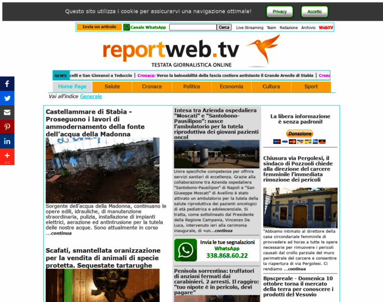 Reportweb.tv thumbnail