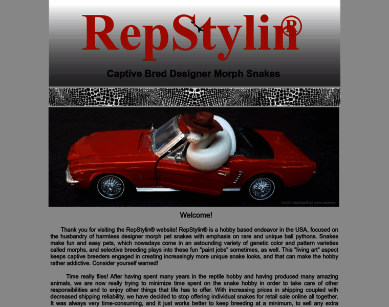 Repstylin.com thumbnail