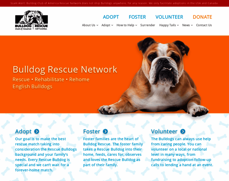 Rescuebulldogs.org thumbnail