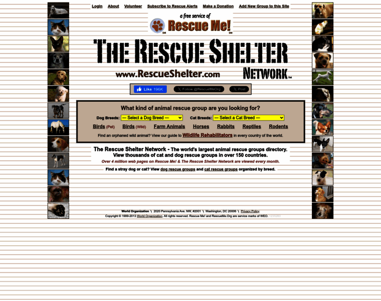 Rescueshelter.com thumbnail