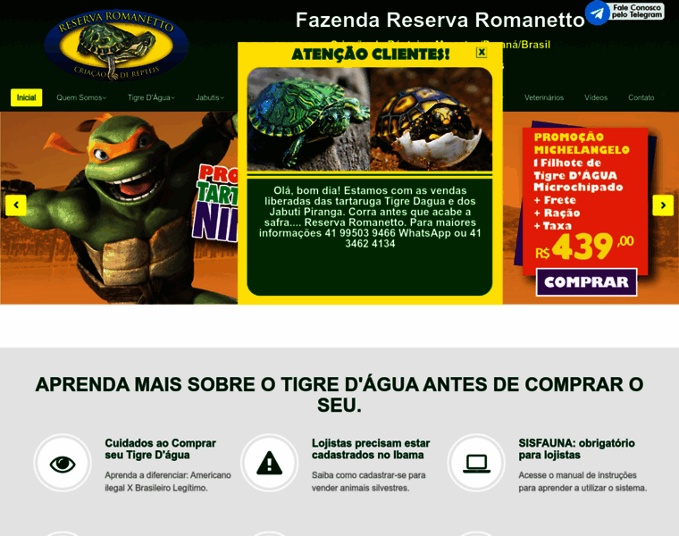 Reservaromanetto.com.br thumbnail