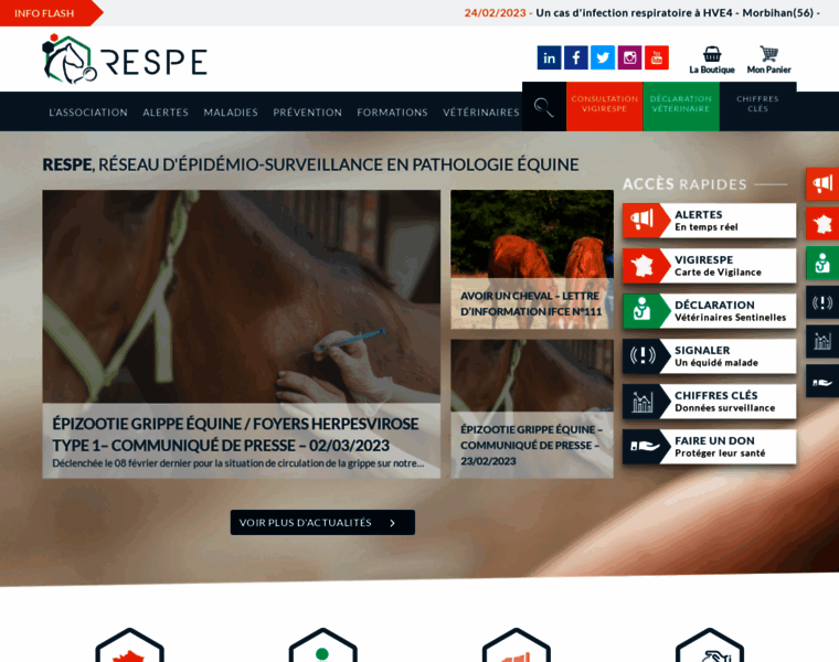 Respe.net thumbnail