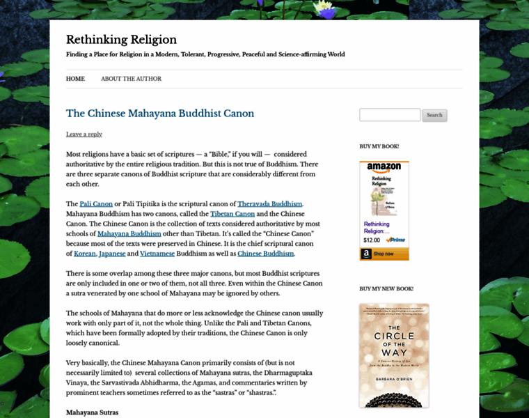 Rethinkingreligion-book.info thumbnail