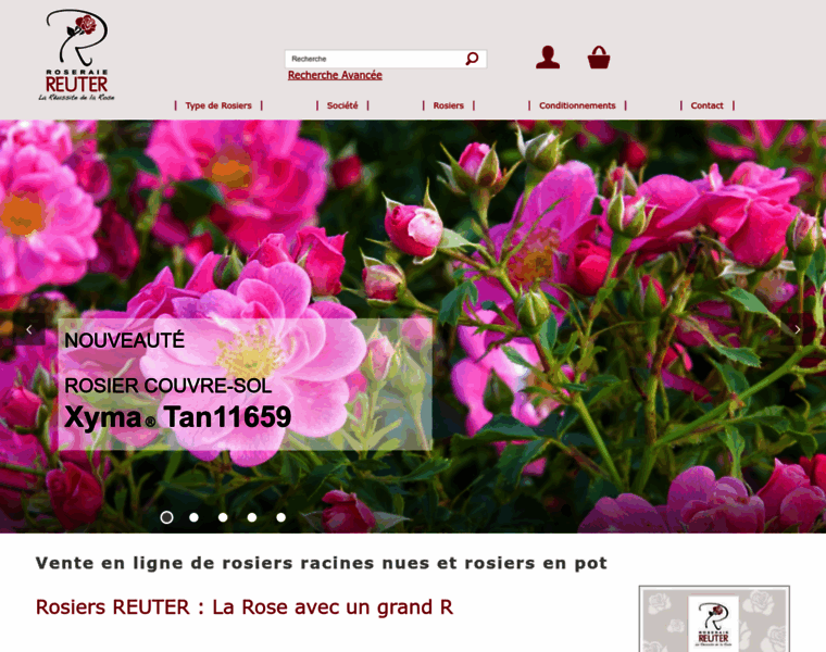 Reuter.fr thumbnail