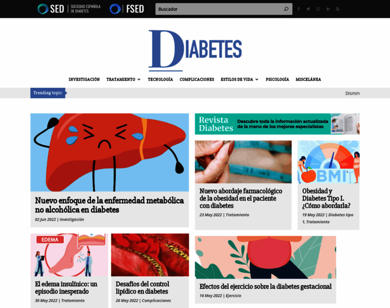 Revistadiabetes.org thumbnail
