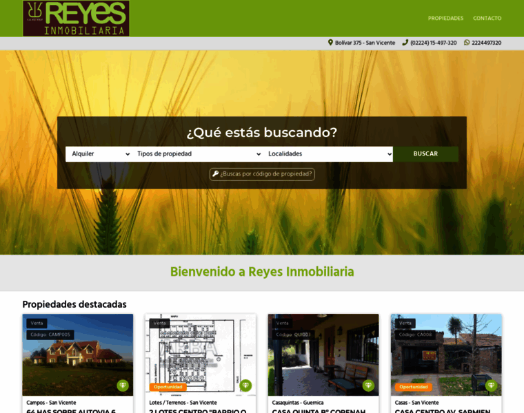 Reyes-inmobiliaria.com.ar thumbnail
