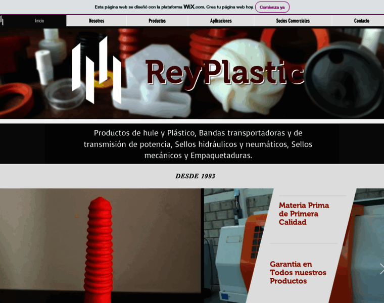 Reyplasticmexico.com thumbnail