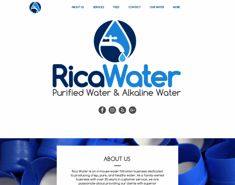 Ricawaterstore.com thumbnail