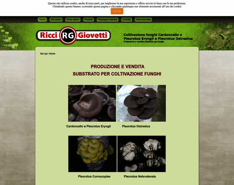Ricci-giovetti.it thumbnail