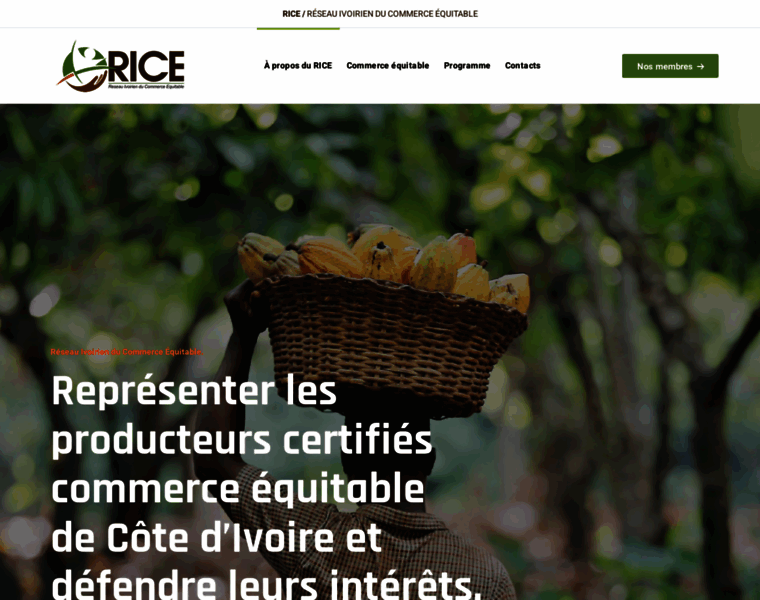 Rice-ci.com thumbnail
