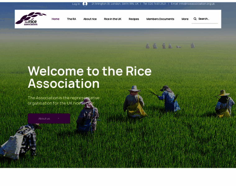 Riceassociation.org.uk thumbnail