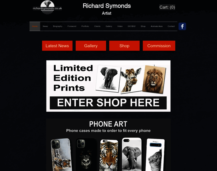 Richardsymonds.co.uk thumbnail