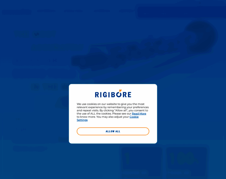 Rigibore-india.in thumbnail