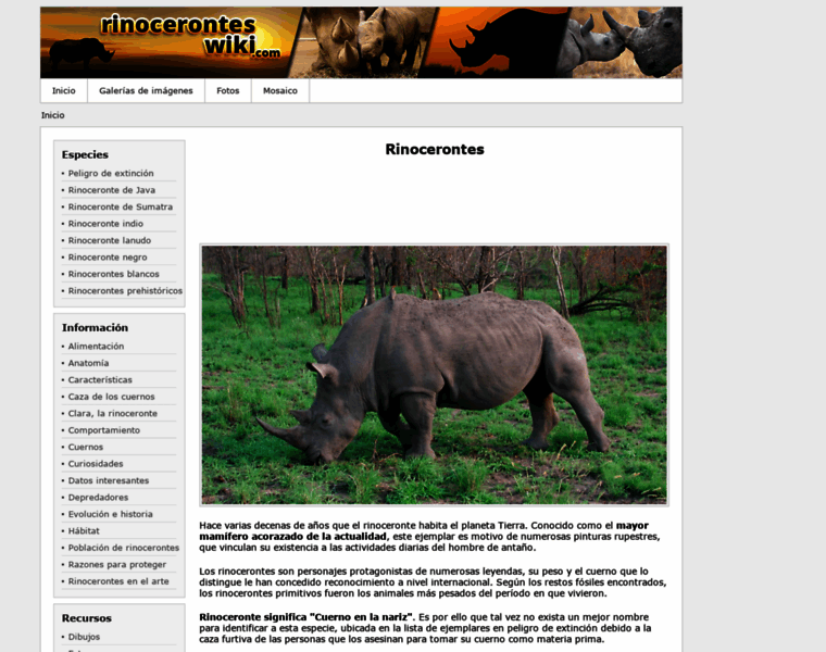 Rinoceronteswiki.com thumbnail