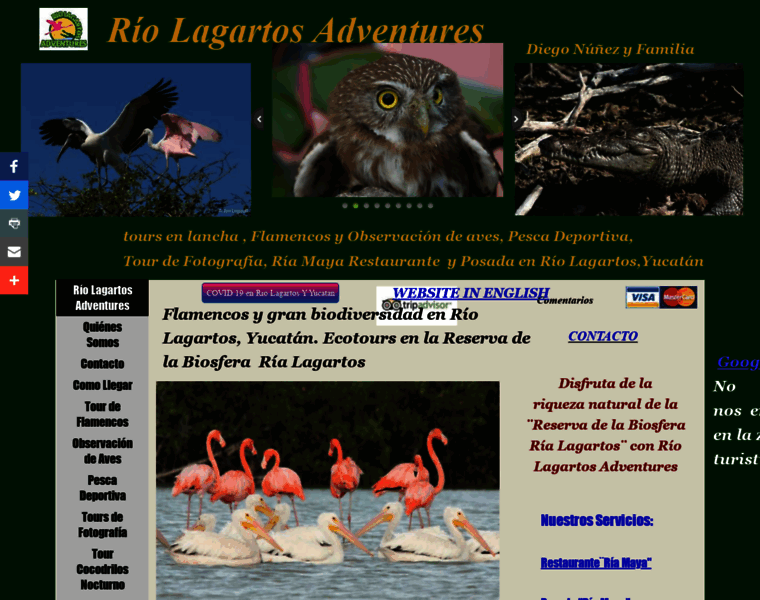 Riolagartosaventuras.com thumbnail
