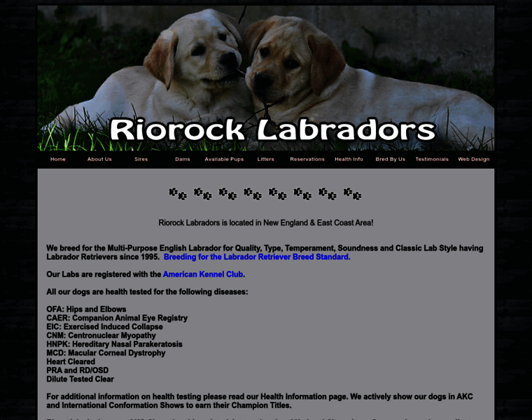 Riorocklabs.com thumbnail