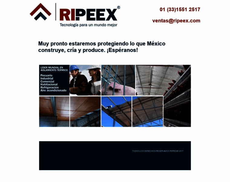 Ripeex.com.mx thumbnail