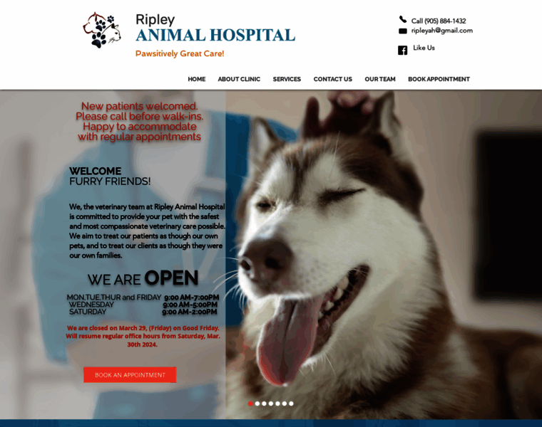 Ripleyanimalhospital.com thumbnail