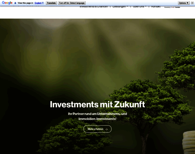 Risma-investment.eu thumbnail