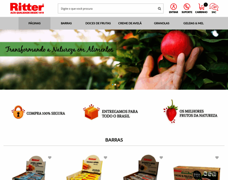 Ritter.com.br thumbnail