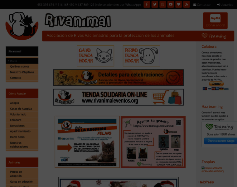 Rivanimal.org thumbnail