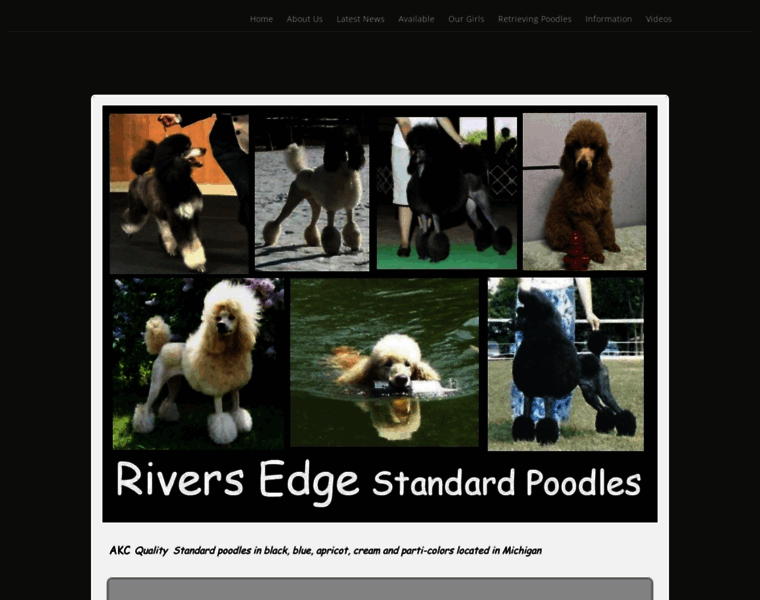 Riversedgepoodles.com thumbnail