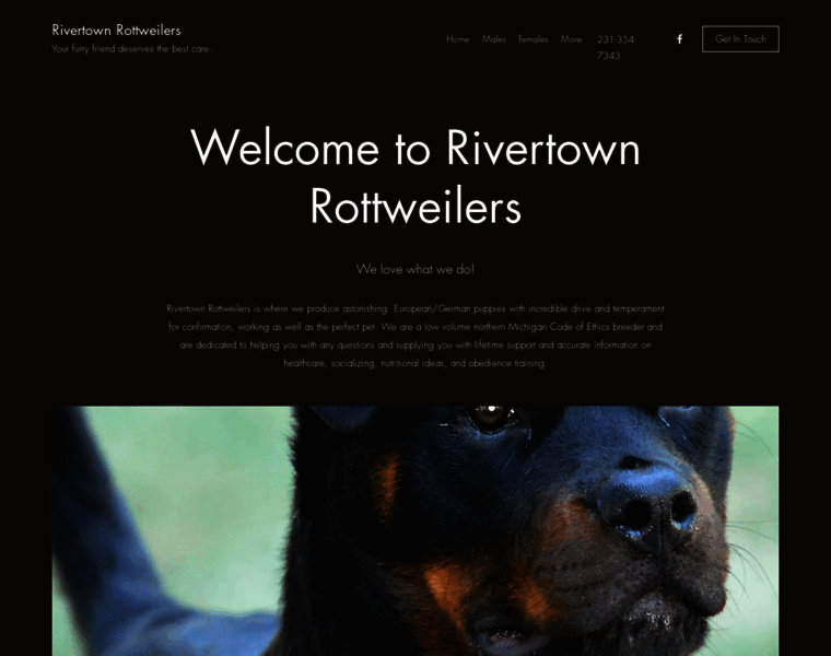 Rivertownrottweilers.com thumbnail
