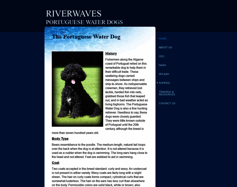 Riverwavesporties.com thumbnail