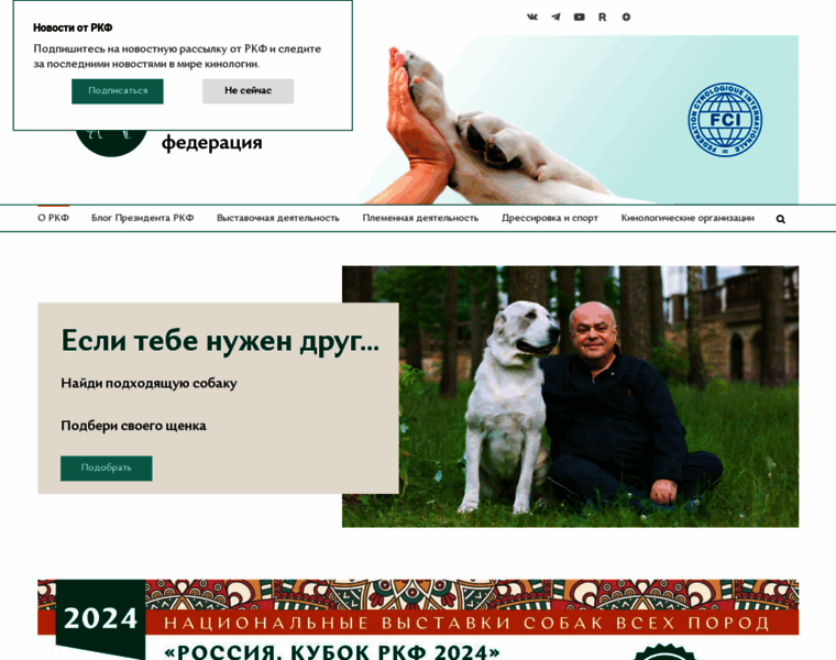 Rkf.org.ru thumbnail