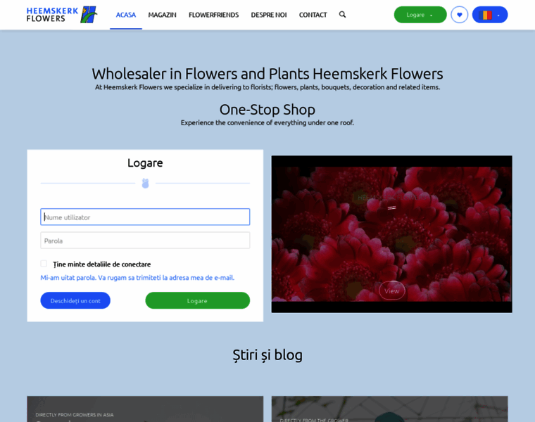 Ro.heemskerkflowers.com thumbnail