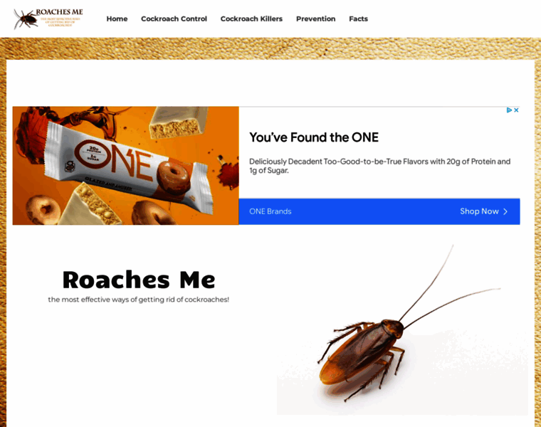 Roachesme.com thumbnail