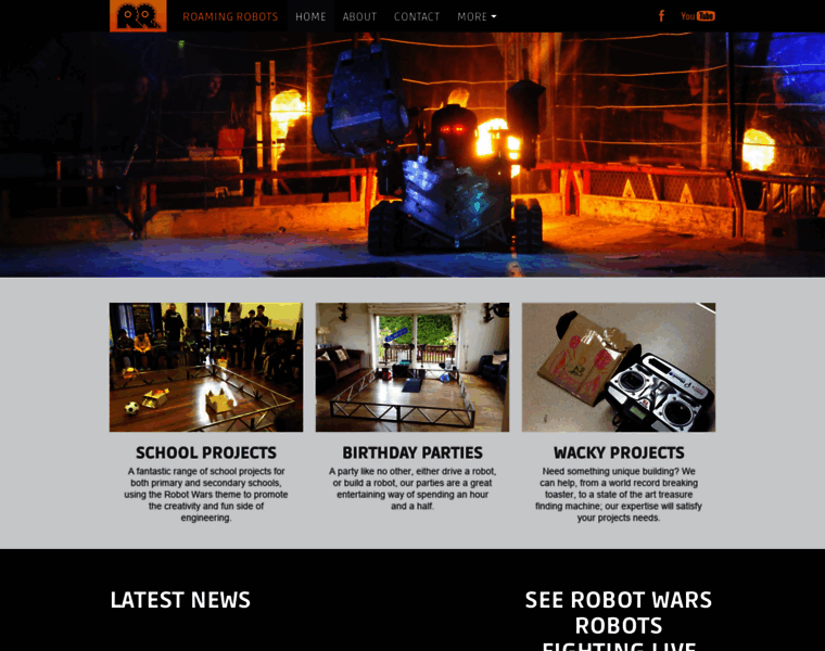 Roamingrobots.co.uk thumbnail
