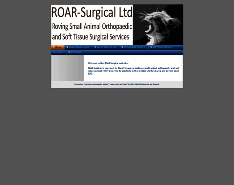 Roarsurgical.co.uk thumbnail