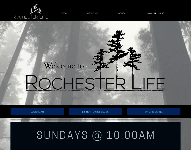 Rochesterlife.org thumbnail