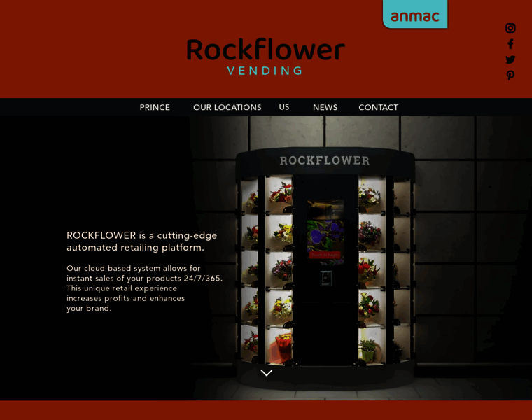 Rockflower.co.uk thumbnail